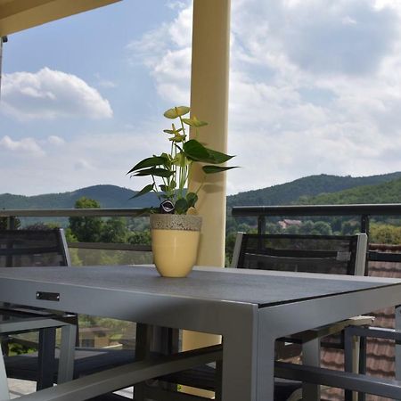 Appartamento Le Brin D'Osier Kaysersberg-Vignoble Esterno foto