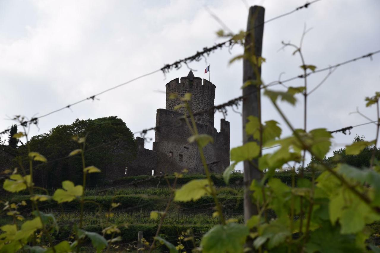 Appartamento Le Brin D'Osier Kaysersberg-Vignoble Esterno foto