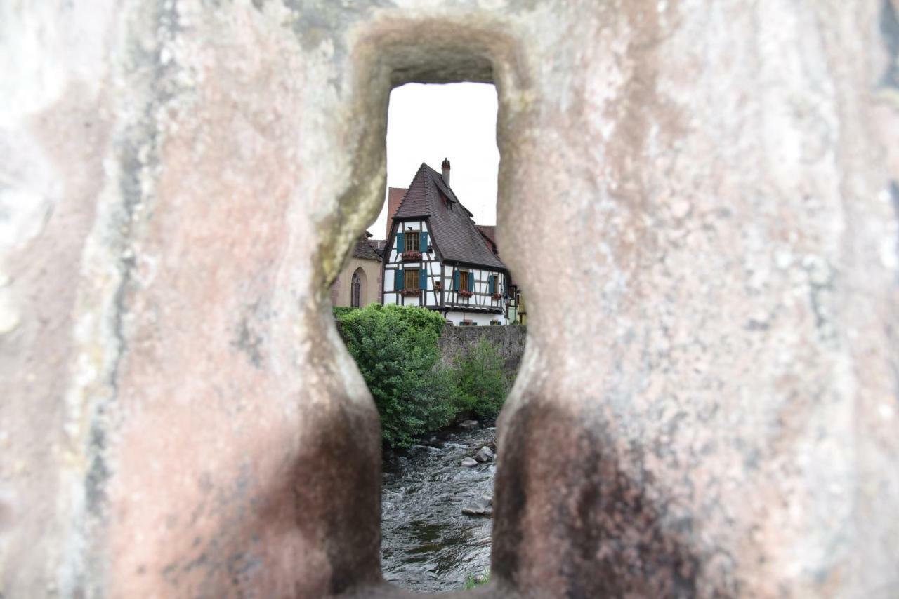 Appartamento Le Brin D'Osier Kaysersberg-Vignoble Esterno foto