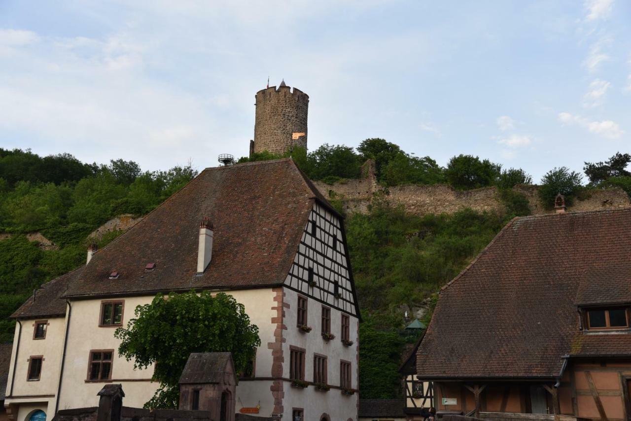 Appartamento Le Brin D'Osier Kaysersberg-Vignoble Esterno foto
