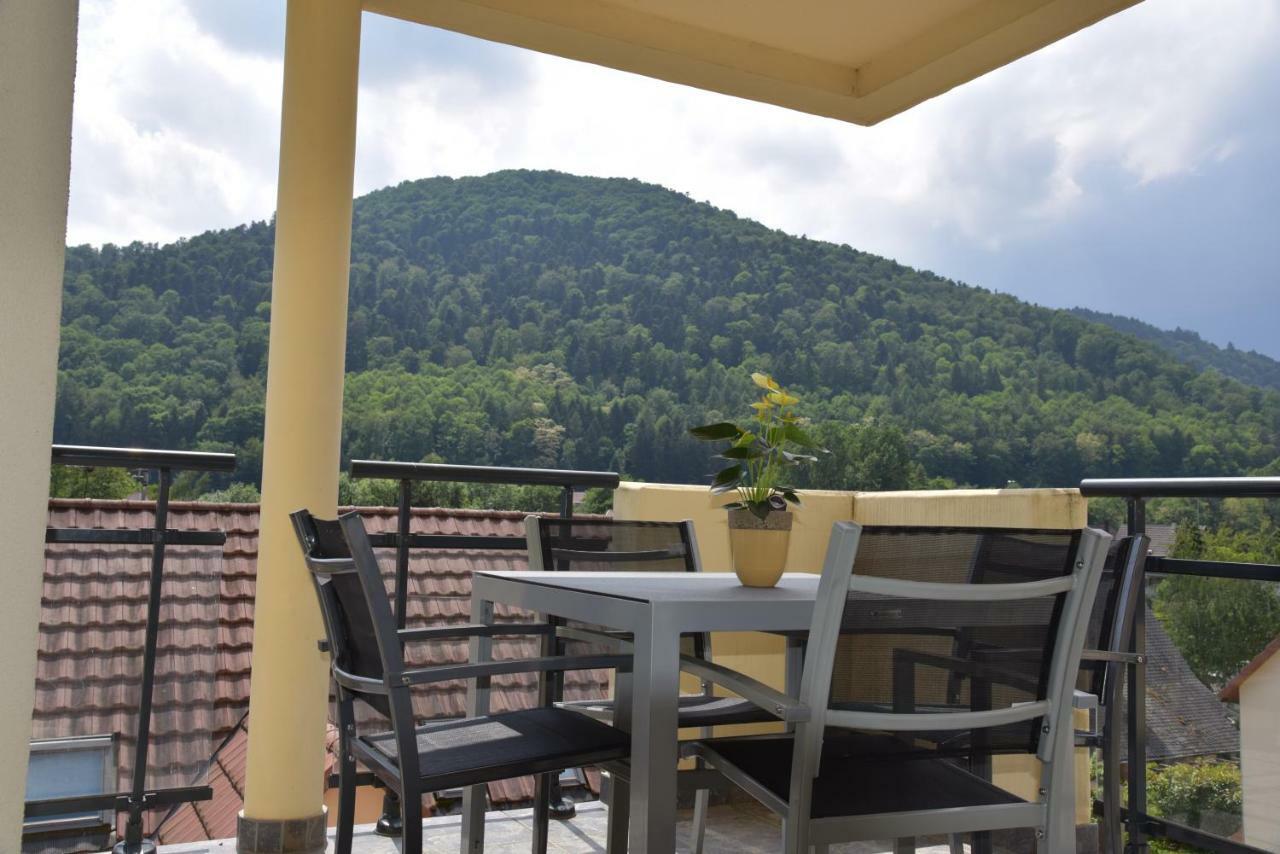 Appartamento Le Brin D'Osier Kaysersberg-Vignoble Esterno foto