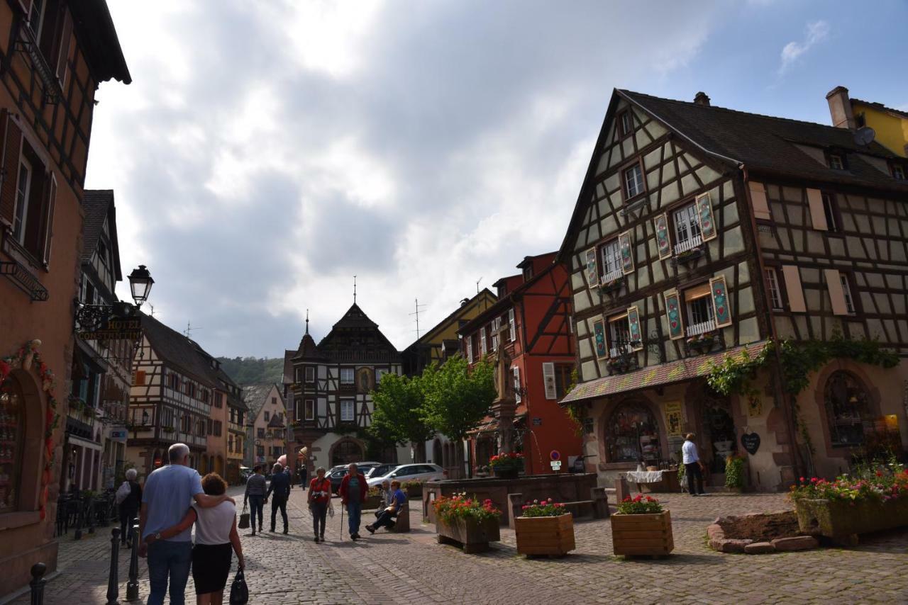 Appartamento Le Brin D'Osier Kaysersberg-Vignoble Esterno foto