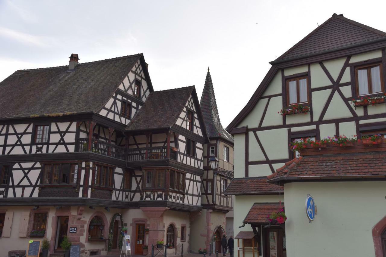 Appartamento Le Brin D'Osier Kaysersberg-Vignoble Esterno foto