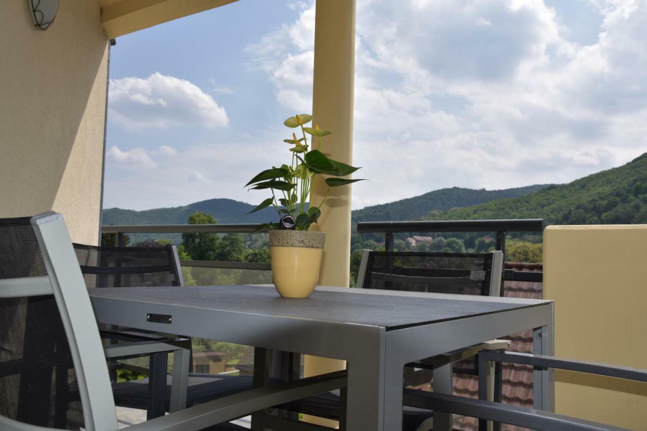 Appartamento Le Brin D'Osier Kaysersberg-Vignoble Esterno foto
